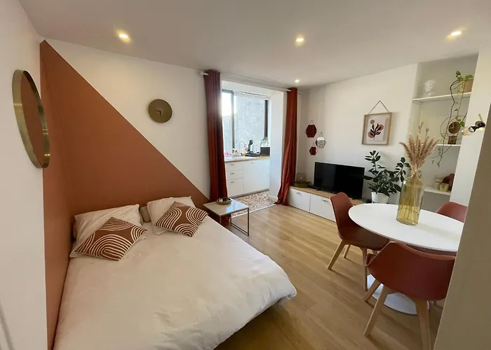 דירה Nid Douillet Proche Capitole טולוז